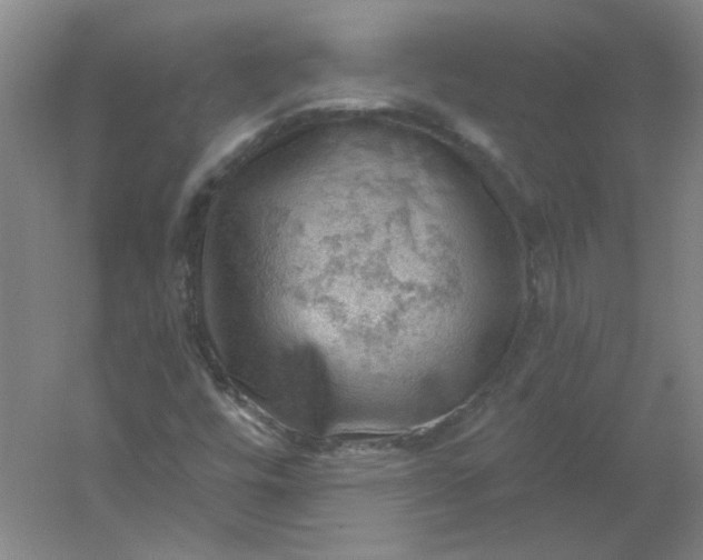 X0000054401448200508121646