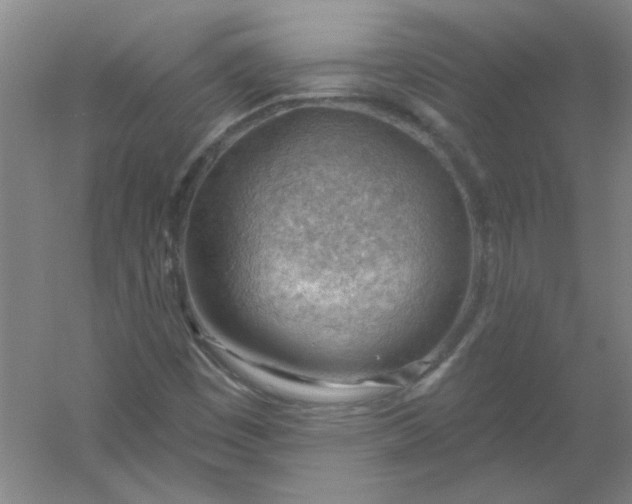 X0000054401449200508121646