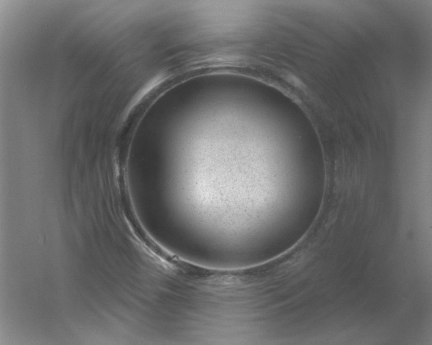 X0000054401450200508121646