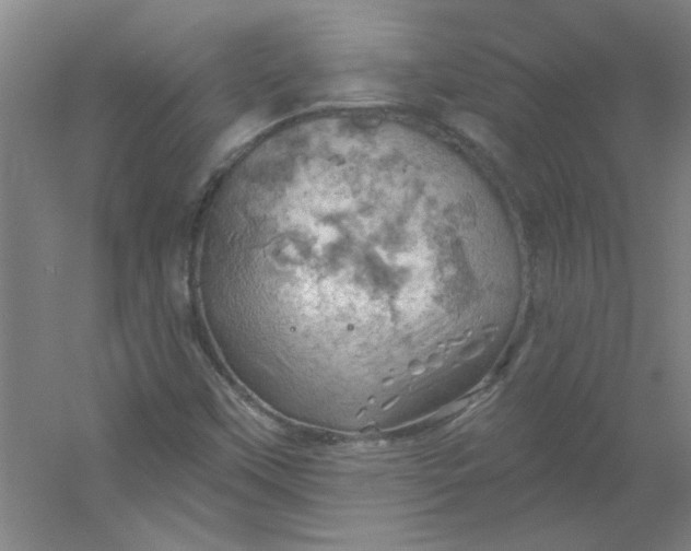 X0000054401451200508121646