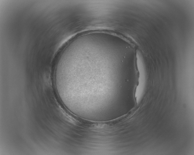 X0000054401452200508121646