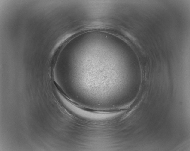 X0000054401453200508121646