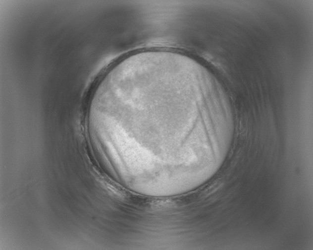 X0000054401454200508121646