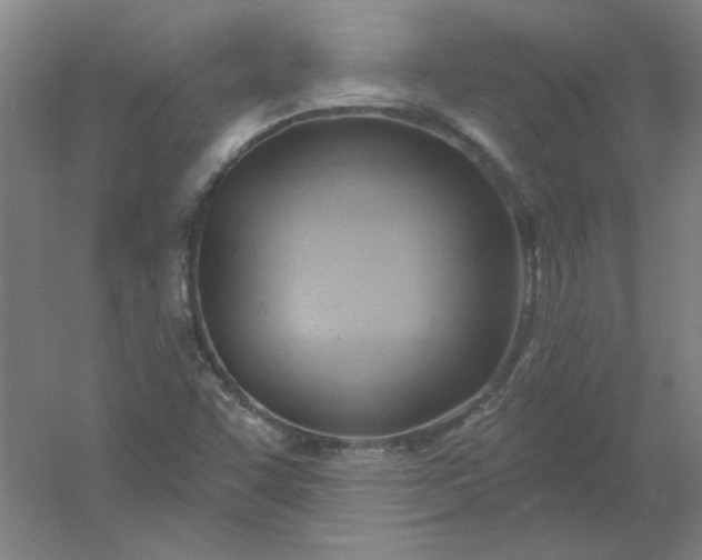 X0000054401455200508121646