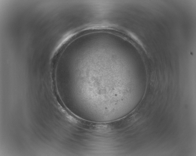 X0000054401456200508121646