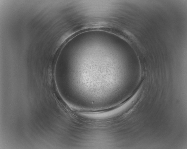 X0000054401457200508121646