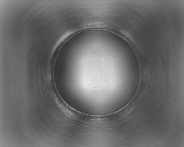 X0000054401458200508121646