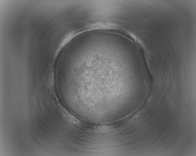 X0000054401459200508121646