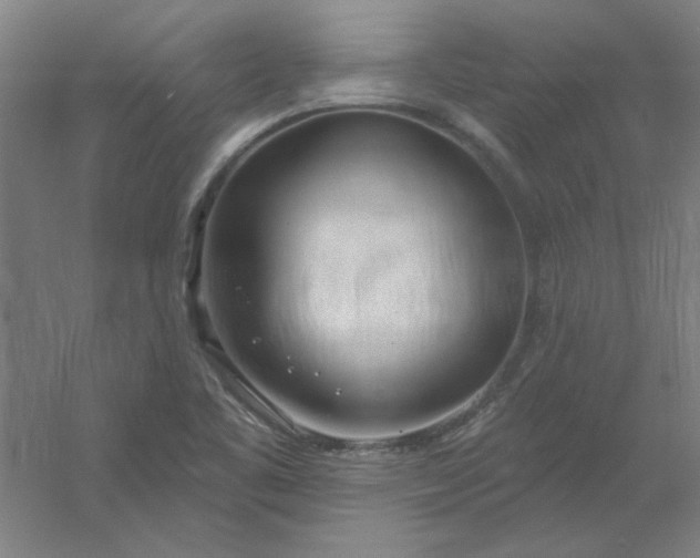 X0000054401461200508121646