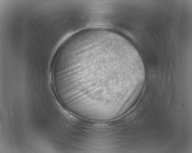 X0000054401462200508121646