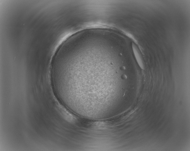 X0000054401463200508121646