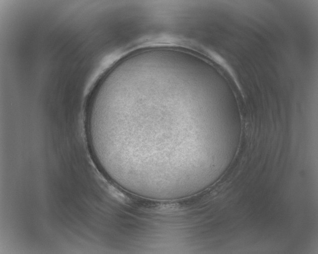 X0000054401464200508121646