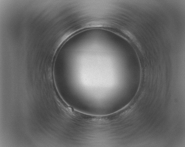 X0000054401465200508121646