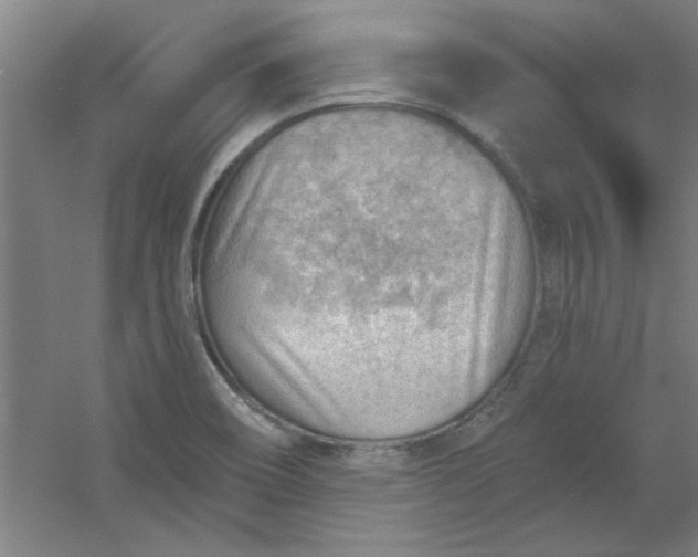 X0000054401466200508121646