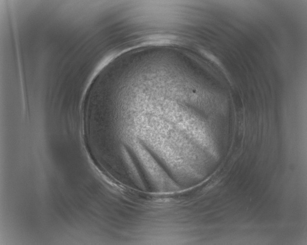 X0000054401467200508121646