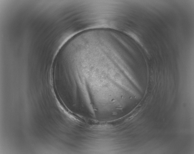 X0000054401468200508121646