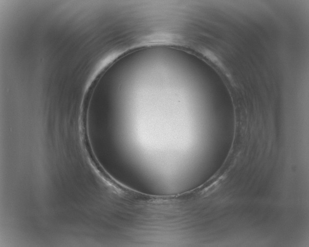 X0000054401469200508121646