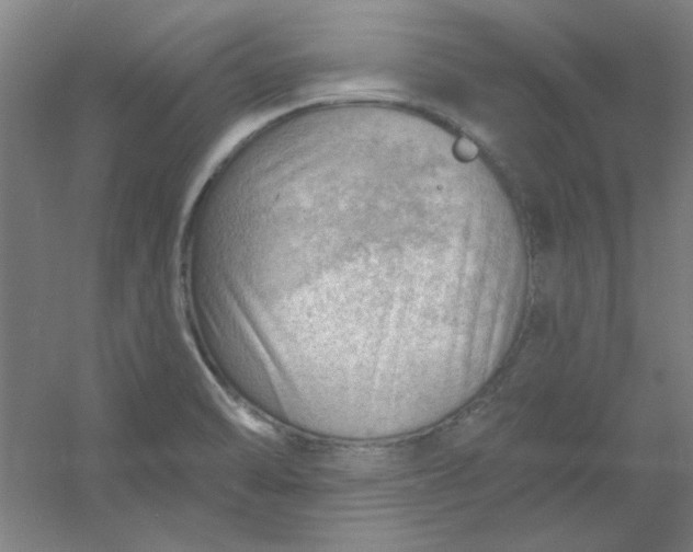 X0000054401470200508121646