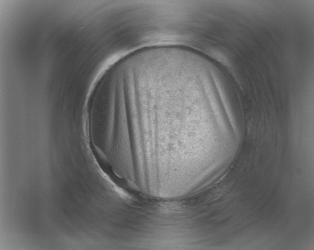 X0000054401472200508121646