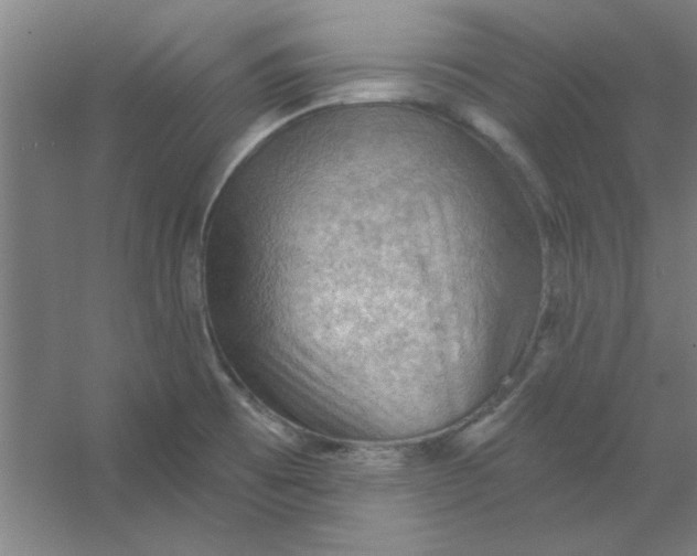 X0000054401473200508121646