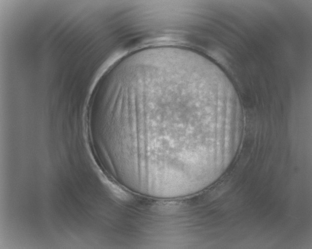 X0000054401474200508121646