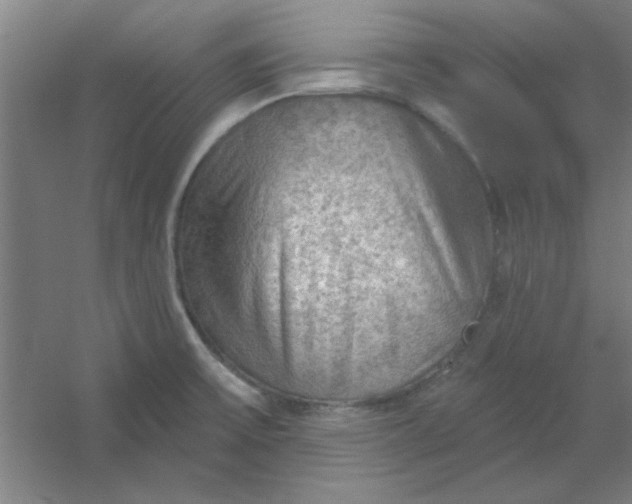 X0000054401475200508121646