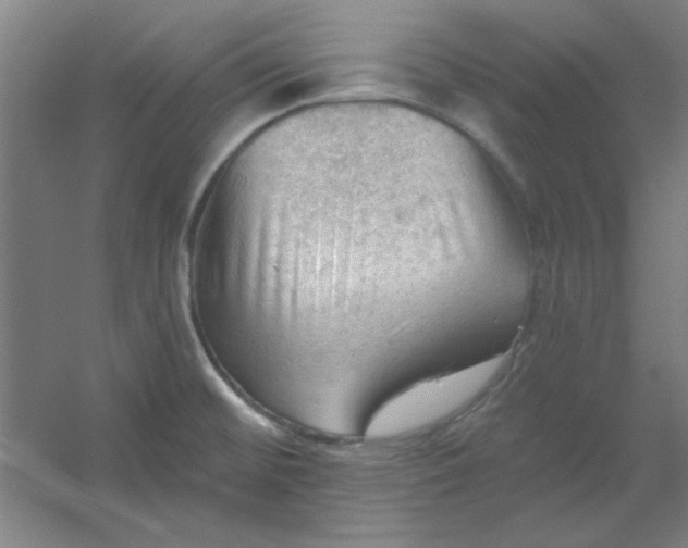 X0000054401476200508121646