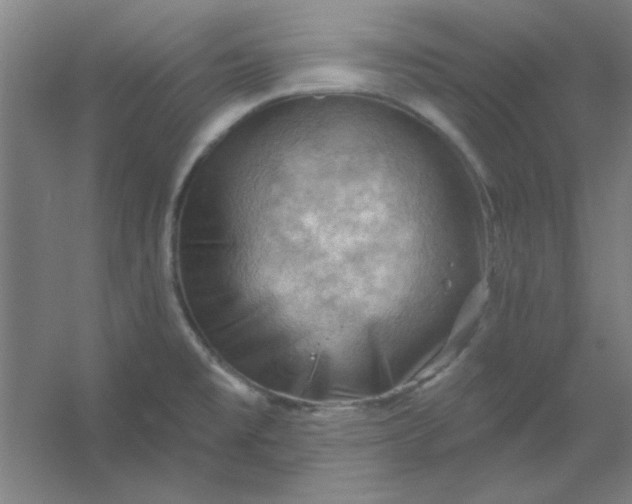 X0000054401477200508121646