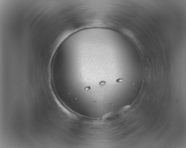 X0000054401479200508121646