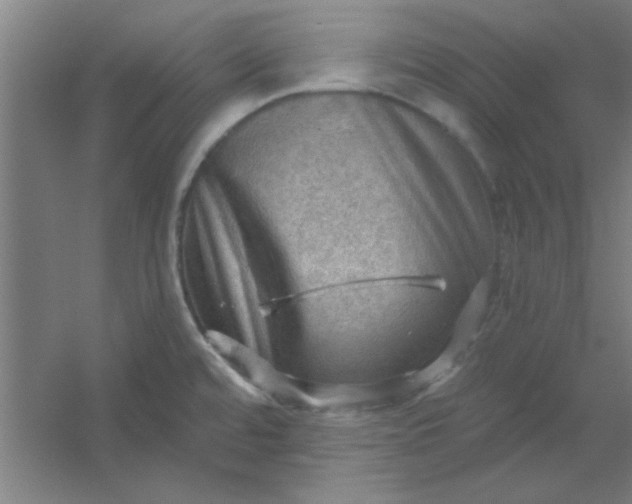 X0000054401480200508121646