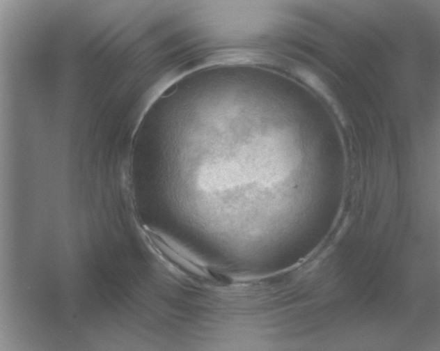 X0000054401481200508121646