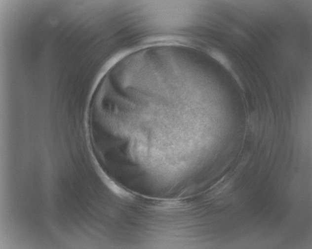 X0000054401482200508121646