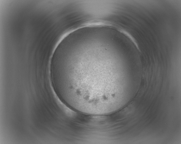 X0000054401483200508121646