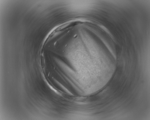 X0000054401484200508121646