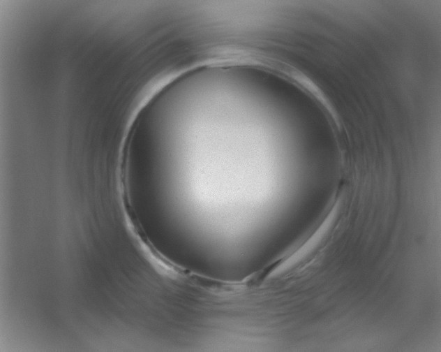 X0000054401485200508121646