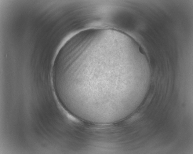 X0000054401486200508121646