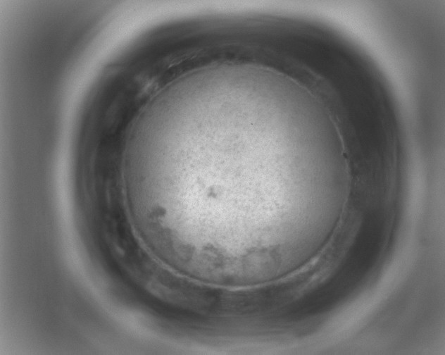 X0000054401487200508121646