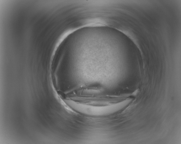 X0000054401488200508121646