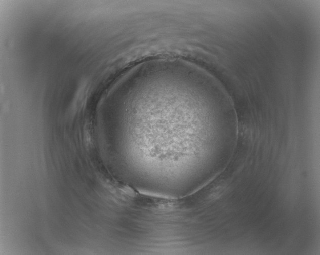 X0000054401490200508121645