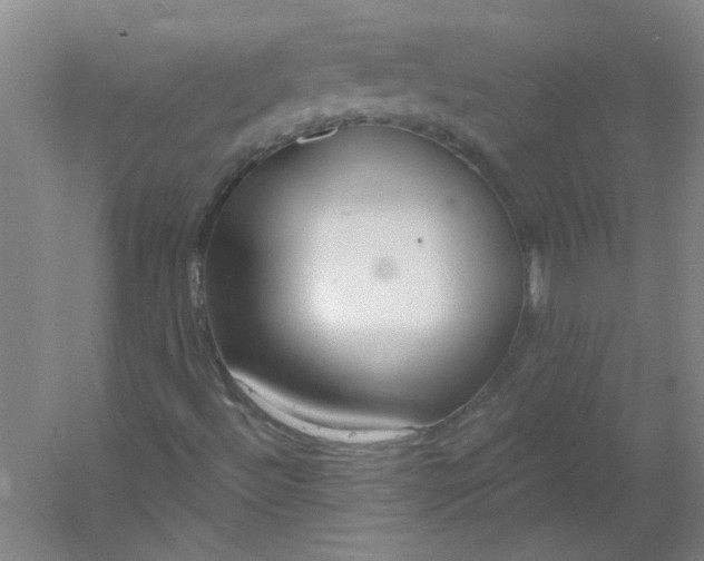 X0000054401492200508121645