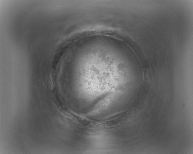 X0000054401493200508121645