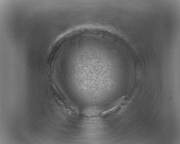 X0000054401494200508121645