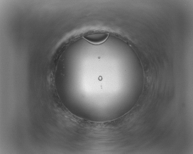 X0000054401495200508121645