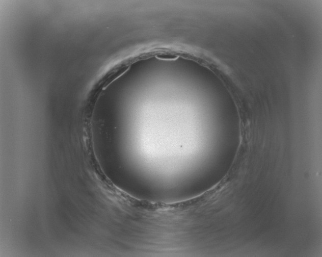 X0000054401496200508121645