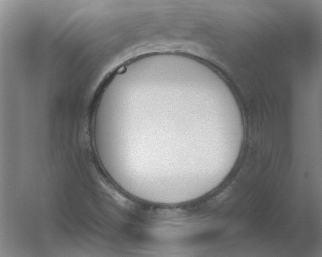 X0000054401498200508121645