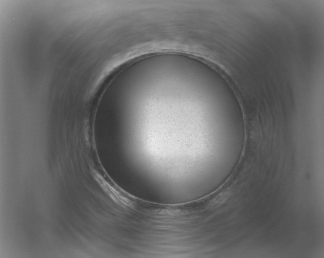 X0000054401499200508121645