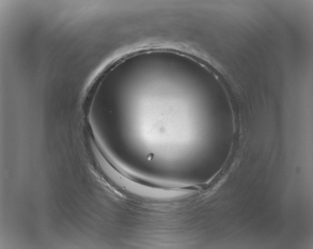 X0000054401502200508121645