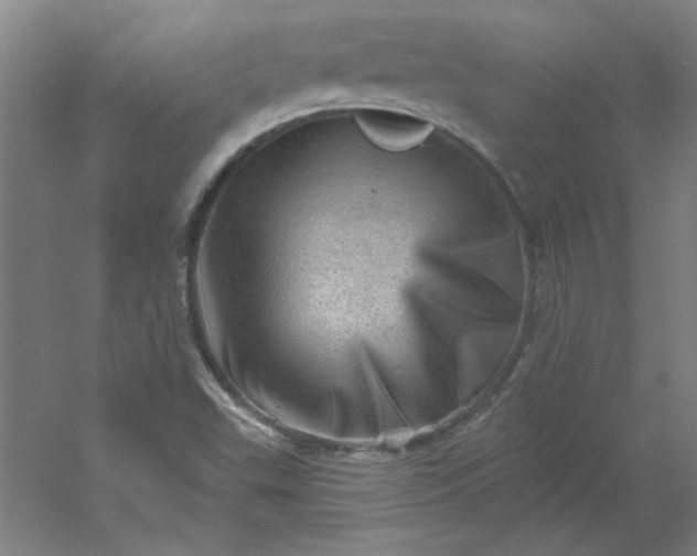 X0000054401503200508121645