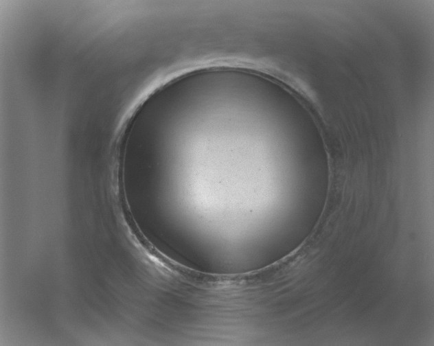 X0000054401504200508121645