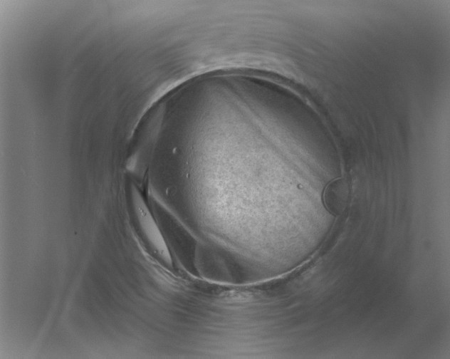 X0000054401505200508121645